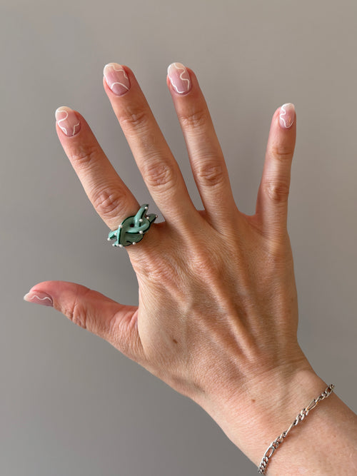 The Knotty Ring | Snake Lab